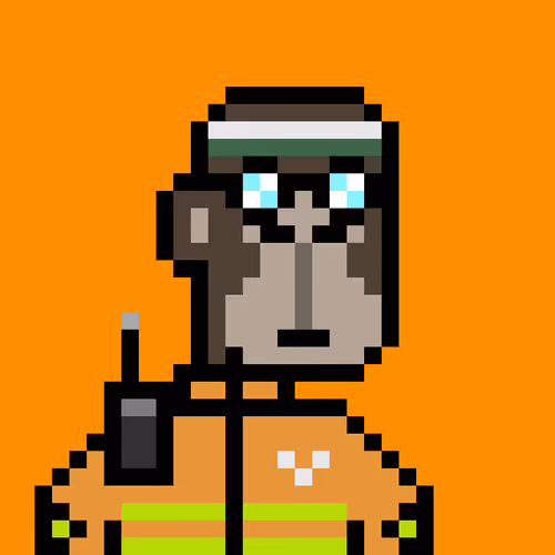 Oringos