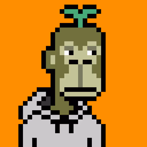 Oringos