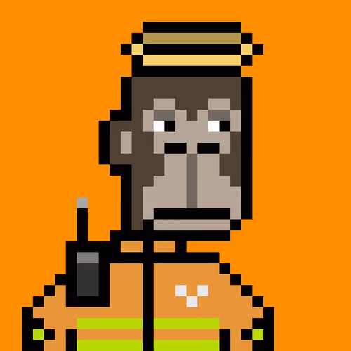 Oringos