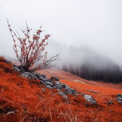 Exclusive Drops 2024