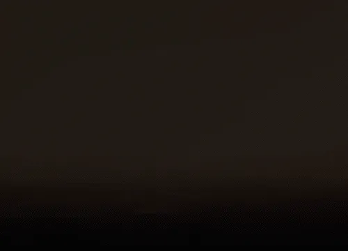 Thememes6529