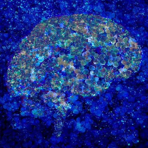 Cerebrum