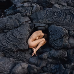 THE ORIGIN OF LIFE