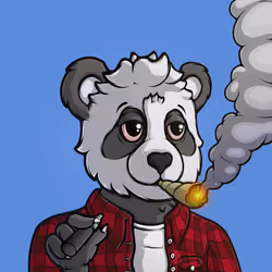 4232