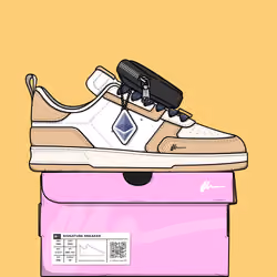 Signature Sneaker #491