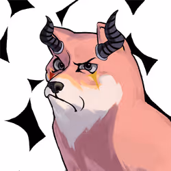 503