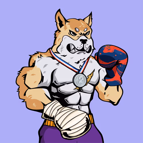 Doge Fight Club