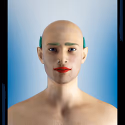26