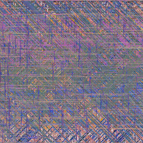 141_ROADRUNNER_3339_MICRO_CORAL