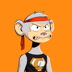 Non-Fungible Heroes 427