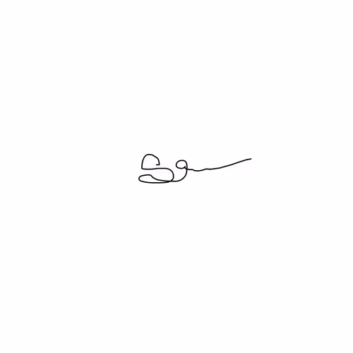 Receipts Vv