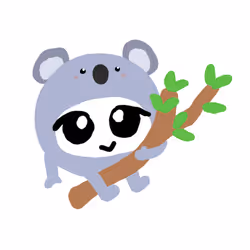 koala retart