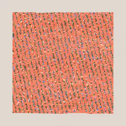 Hello Modulo #81