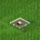 Greener Grass