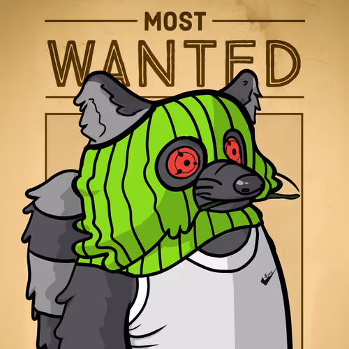 Ruthlessraccoons