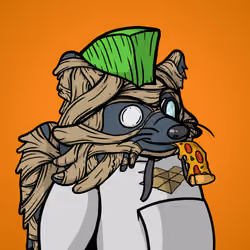 Ruthless Raccoon #637
