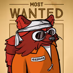 Ruthless Raccoon #306