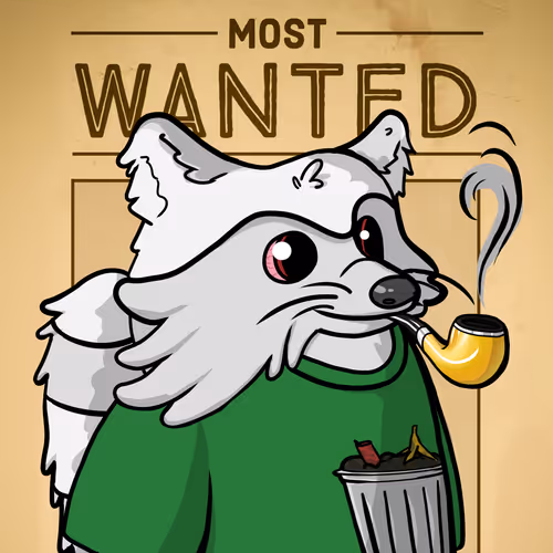 Ruthlessraccoons