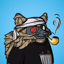 Ruthless Raccoon #877
