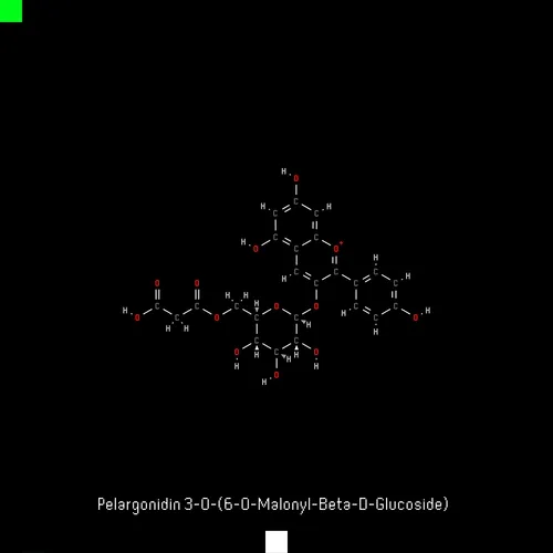 Panacea #3228