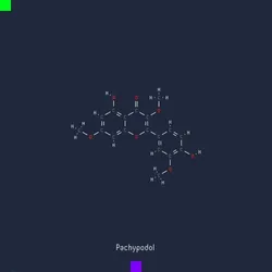 Panacea #5154