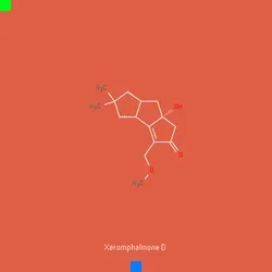 Panacea #7478
