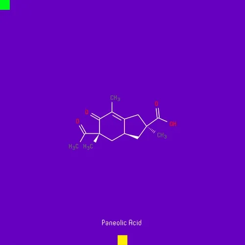 Panaceacryptolab
