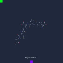 Panacea #5621