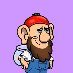 567