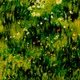 80