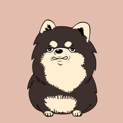 Fluffy Pup #3362