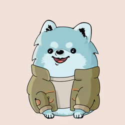 Fluffy Pup #1634