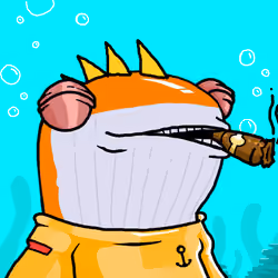 WHALES #1243