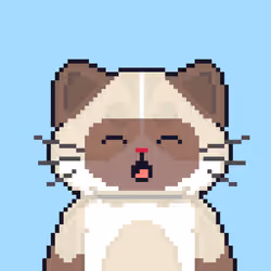 Cattain #362