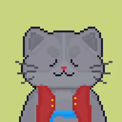 Cattain #2049