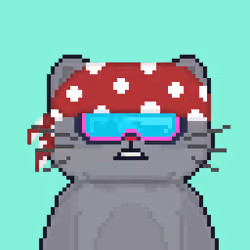 Cattain #1237