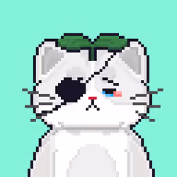 Cattain #1694