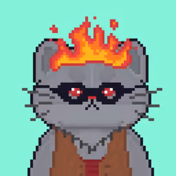Cattain #692