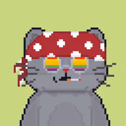 Cattain #739