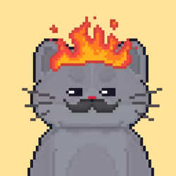 Cattain #1073
