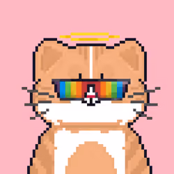 Cattain #1594