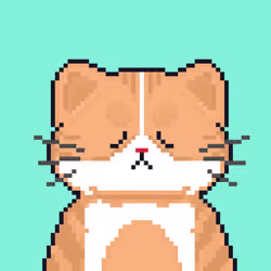 Cattain #293