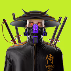 Shaolin Samurai #311