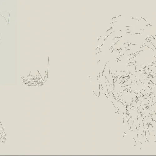 Bearded Men Plotter, 1966 + Artist to Frog Film, 1967