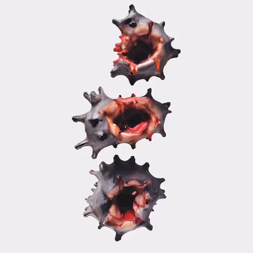 Wound Sculptures