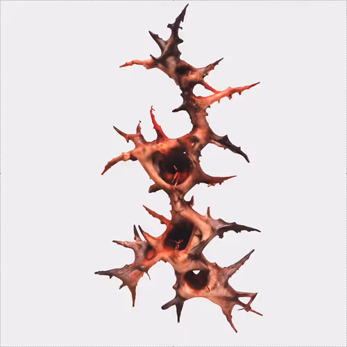 Wound Sculptures