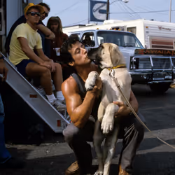 Focus Bloc - Sylvester Stallone #5