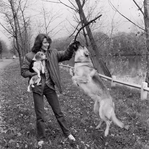 Focus Bloc - Charlotte Rampling  #1