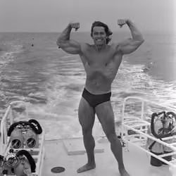 Focus Bloc - Arnold Schwarzenegger #9