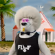 3034